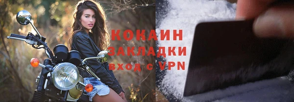 сатива Вяземский