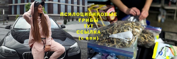 прущий лед Нестеровская